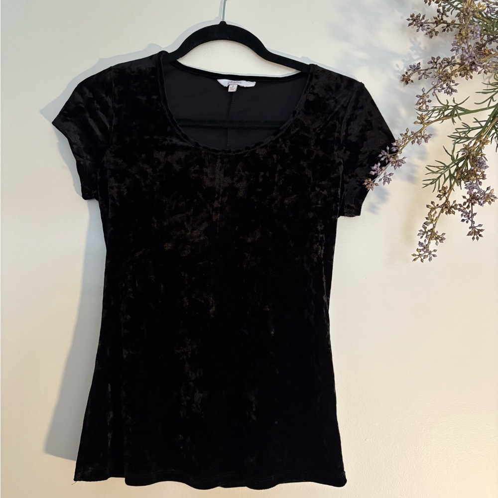 Black Crushed Velvet Baby Tee Whimsigoth Top Small-